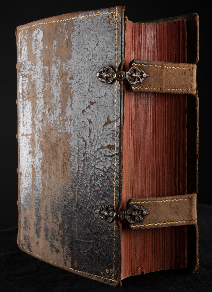 Helt skinnband med guldpressingar och knäppen. Röd och grön titelskylt. Personhistoriska anteckningar. Sprucken pärmplatta, baksidan.