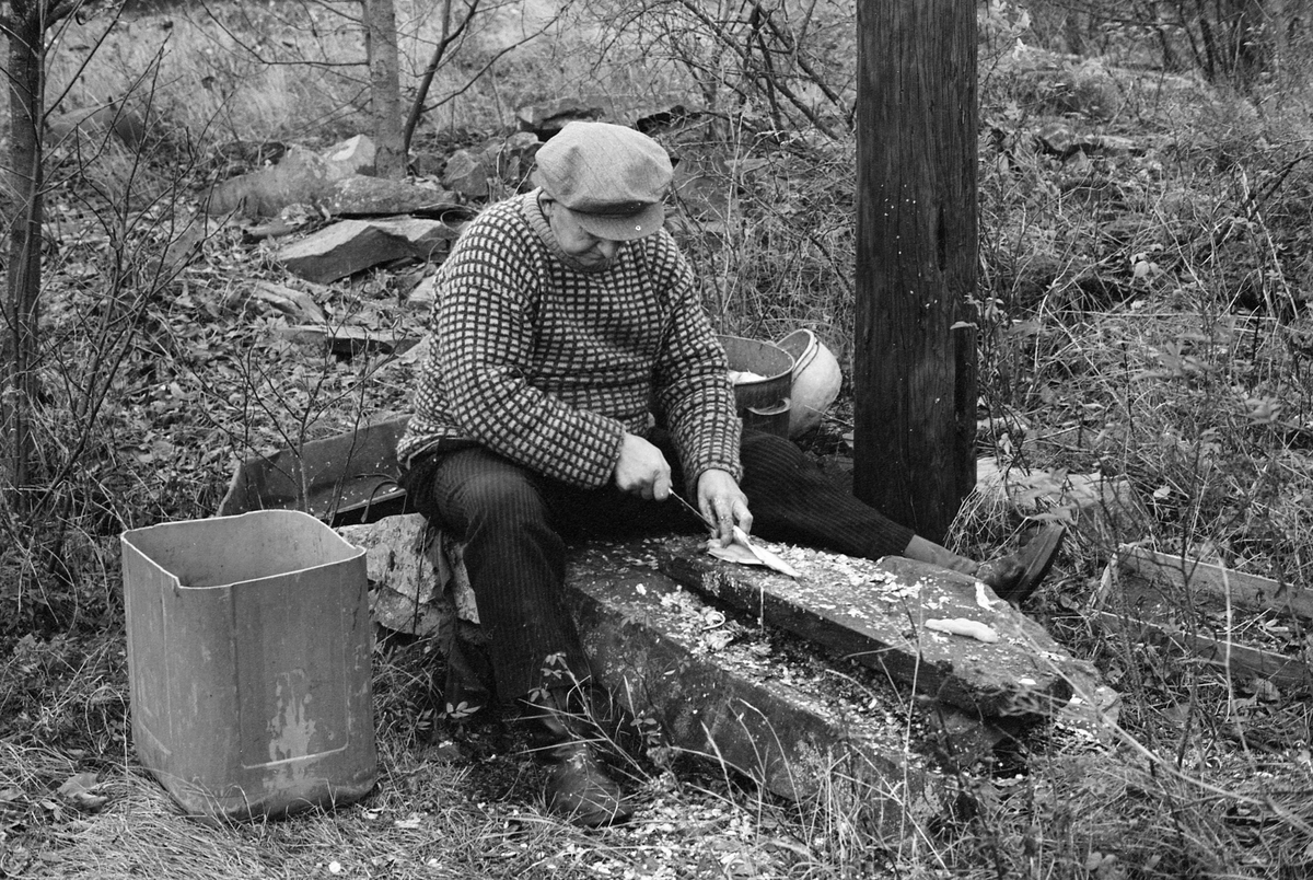 Paul Stensæter (1900-1982), som var yrkesfisker på Steinsfjorden, ei sidegrein til Tyrifjorden på Ringerike i Buskerud, fotografert mens han reset en sik (Coregonus lavaretus) han hadde tatt i garn under høstfisket. Fisken lå tilsynelatende på en planke på en avlang stein, som Stensæter satt på, med tollekniven klar til å sprette opp buken på fisken. Til venstre for fiskeren sto det et stort, avskåret plastkar som sannsynligvis inneholdt urenset fisk. På høyre side skimter vi et sylindrisk metallkar som den nyrensete fisken ble lagret i. Rensinga var et arbeid det hastet litt med, for fangsten skulle omsettes mens den var fersk, Da dette fotografiet ble tatt var Stensæter kledd i bredstripete cordfløyelbukser og strikkegenser. Han hadde sixpencelue på hodet.

Åsmund Eknæs fra Norsk Skogbruksmuseum intervjuet Paul Stensæter i 1973 og 1974. Det fiskeren fortalte om salget av fisk fra Steinsfjorden sammenfattet Eknæs slik:

«For Paul var det atskillig arbeid som gjensto etter at fisken var oppe av vannet. For han og for de andre som hadde fisket delvis som levevei var det viktig å få omsatt varen så fort som mulig for å hindre kvalitetsforringelse og dermed tap av kunder.

Vi kan nå se hvordan dagsrytmen var om sommeren når han fisket abbor med reiv. Ca. 1930 ble det bussforbindelse til Hønefoss og dette fikk virkning på opplegget av fisket. Før den tida artet døgnet seg slik: Ved 2-3-tida om morgenen ble reiven trukket. Det var da ikke tid til annen behandling av fisken enn å knippe den opp før han måtte dra til Hønefoss. Dette var det nærmeste markedet av noen størrelse og han var nødt til å dra den lange veien hver dag hvis han ville bli kvitt fangsten.

Først var det roturen over fjorden til Stein gård. Den tok ca. 1/2 time. Derfra til Hønefoss var det 1 1/2 times gange. Fisken ble båret på skuldra i en flettet kurv som rommet 20-25 kilo. Var det mye fisk, kunne han ha en kurv til på armen. Far til Paul [Sigvart Stensæter (1878-1963)] bar en gang 52 kilo på denne måten fra Stein til Hønefoss. Men ofte var det bønder på veien med melk eller andre varer, og da fikk han sette fiskekurven på vogna inn til byen.

Det var mulig å bli kvitt noe fisk på veien til Hønefoss, men det meste ble solgt i byen, enten på torvet eller i husene. De fleste yrkesfiskerne hadde noen faste kunder som ihvertfall tok en del av fangsten.

Byturen, som Paul altså måtte gjøre hver dag i høysesongen tok vanligvis 6 timer. Tilbake fra byen var det å ordne redskapen, skaffe agnfisk og få reiven i vannet igjen.

Etter 1930, da bussruta til Hønefoss kom, ble det store forandringer i dagsrytmen for bl. a. abborfisket. Nå sendte han fisken med buss kl. 07.30. Det ble også vanlig at fiskeren renset og flosset fisken før den ble sendt for å kunne tilby kundene en mer delikat vare. Etter at den ferdigrensede fisken var sendt til Hønefoss dro han hjem, skaffet seg agnfisk og satte ut reiven. Når det var gjort hadde han middag og en liten hvil før han dro ut og trakk. ....»

Eknæs skriver ellers at Stensæter «renset og flosset» fisken så snart han kom i land. Han greide å ekspedere et par abborer i minuttet. Rensinga av sik har Eknæs ikke kommentert spesielt.