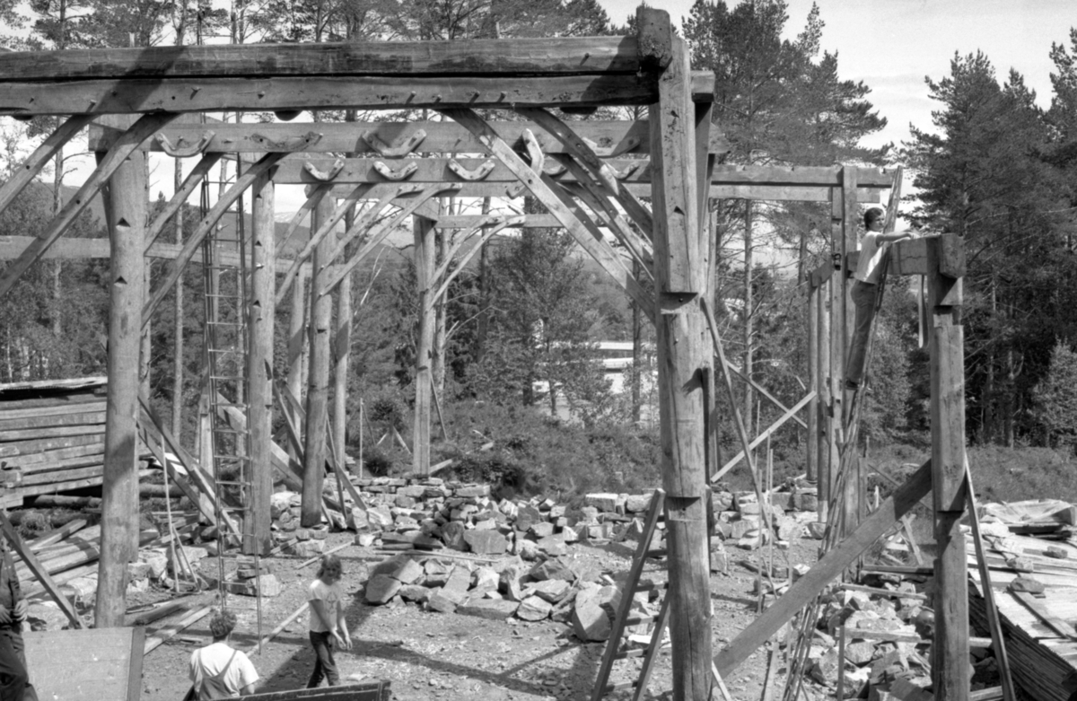 Dokumentasjonsbilder i serie av gjenreisinga av Opshaugløa i Borgundgavlen på Sunnmøre Museum