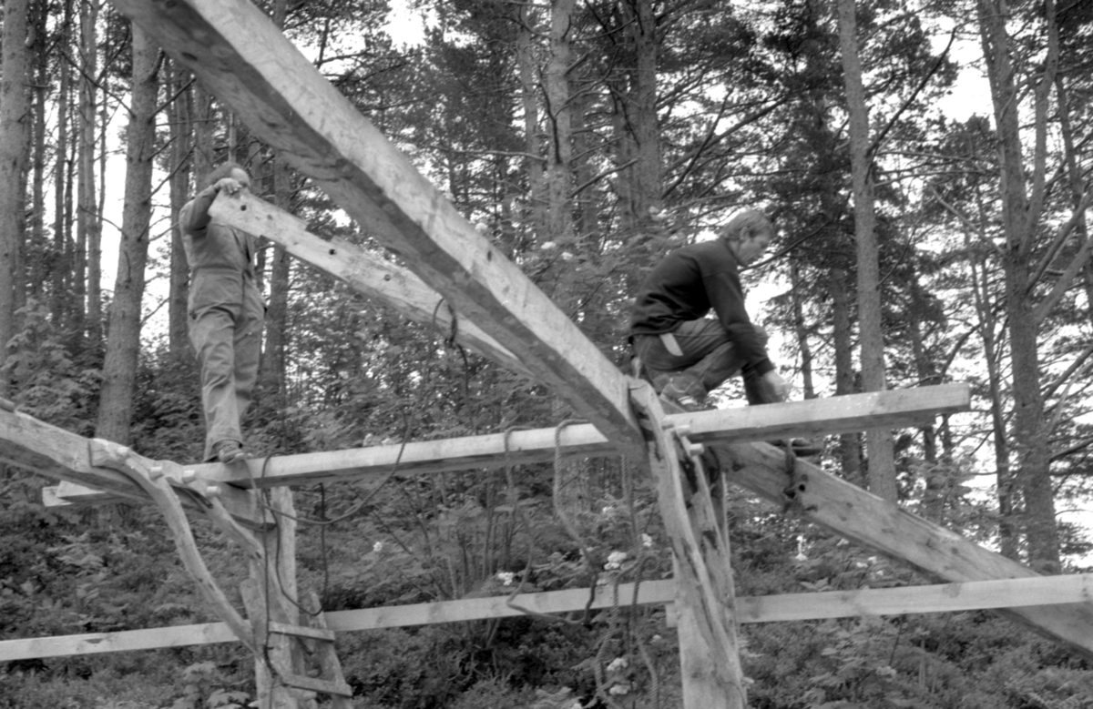 Dokumentasjonsbilder i serie fra oppføringa av åttringnaustet fra Holmeset, Grytestranda.