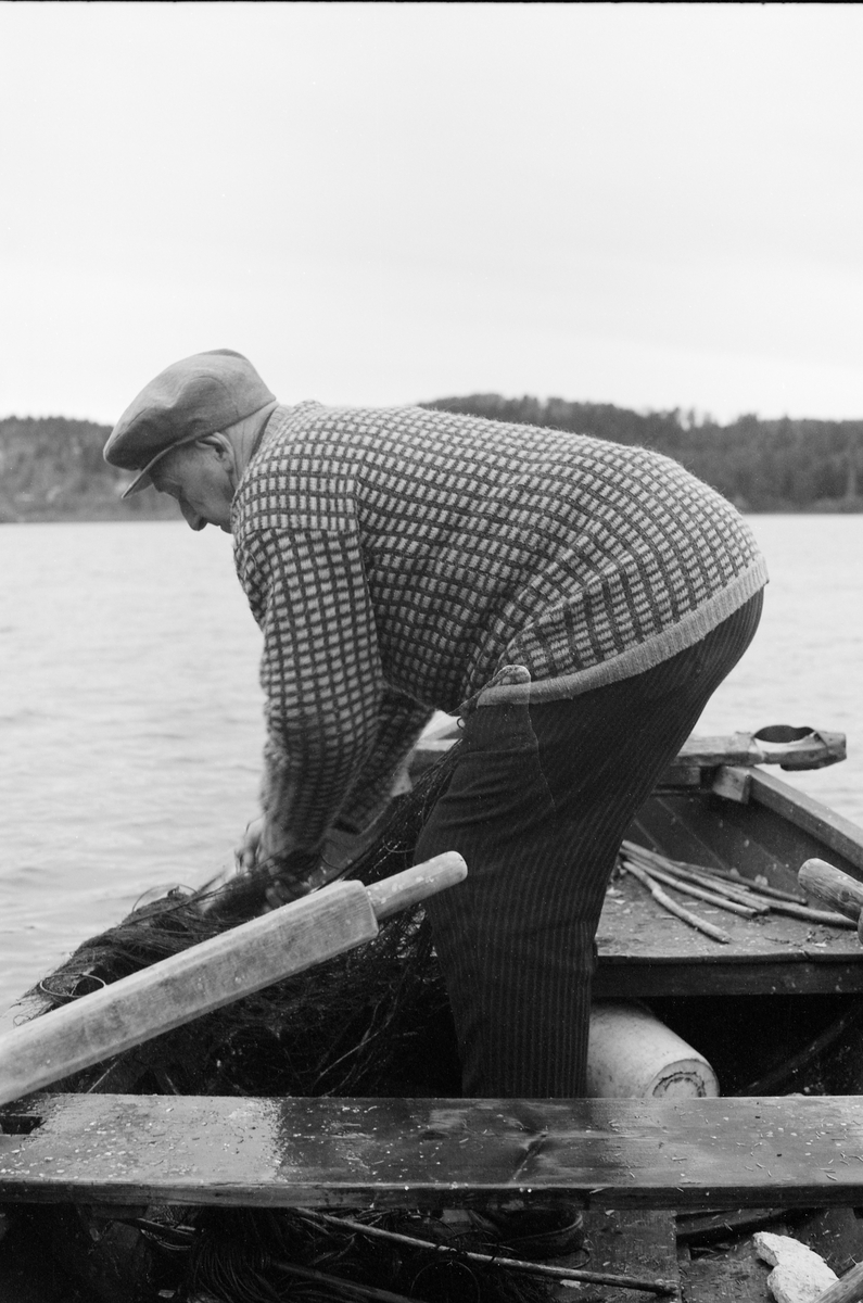 Yrkesfisker Paul Stensæter (1900-1982), fotogfrafert i robåten han brukte under garnfiske etter sik og ørret i Steinsfjorden, en sidearm til Tyrifjorden på Ringerike i Buskerud. Bildet ble tatt høsten 1973. Stensæter var da den siste som hadde næringsfiske som hovedsyssel i dette området. I Stensæters ungdom skal det ha vært 17-18 som drev slikt fiske. På dette fotografiet ser vi fiskeren som sto i båten og trakk garn, iført grovstripete cordfløylsbukser og rutemønstret ullgenser. Han hadde sixpencelue på hodet. Fotografiet ble tatt en gråkald dag i slutten av oktober. 

Åsmund Eknæs fra Norsk Skogbruksmuseum intervjuet Paul Stensæter i 1973 og 1974. Det fiskeren fortalte om høstfisket med garn sammenfattet Eknæs slik:

«Høstfisket er særlig konsentrert om siken, og det er bare garn som benyttes. Allerede i juli kan han begynne, og de tre første ukene kalles fisket for "lusfiske" fordi fisken da har lus. Denne "lus-siken" er noe mer småfallen enn "grunnsiken", som opptrer lenger ut på høsten. Sjøl om det er siken som er hovedarten, får han også en del ørret og brasme under høstfisket.

Han fisker på bunnen og bruker som søkke på garna jernringer med 9 cm diameter. Disse ringene er gjort litt større enn ei utstrukket maske for å hindre at de skal smette gjennom og skape ugreie. Tidligere besto søkkene av neverruller fylt med stein og ble kalt "skvælper". Fløttene, "flæra", er av brettet never.

Når det gjelder fangstmengdene under høstfisket har vi det samme forhold som ved sommerfisket. Det finnes ikke nøyaktige oppgaver. Men dagsfangster mellom 15 og 25 kilo må anses for å  være ganske normalt.

Når de reset høstsiken kunne det bli betydelige mengder med rogn. Denne brukte fiskerne gjerne i egen husholdning. Rå, saltet sikrogn var et vanlig pålegg. Enten vispet de den for å få bort trevlene, eller der gjorde som Pauls far, saltet hele rogna og brukte den på brødet slik den var.»