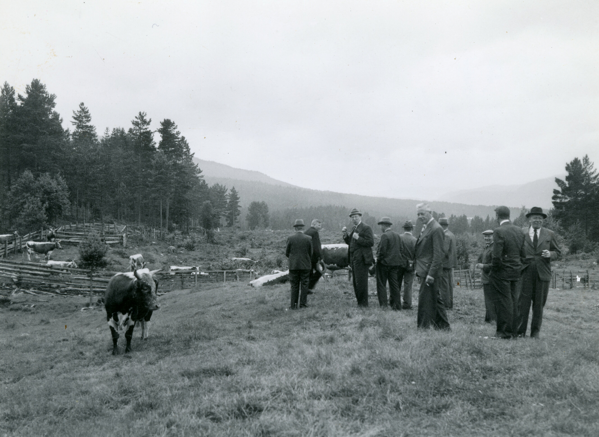 6 bilde frå Kornrådets besøk hjå Neri Valen 9. august 1939.  Neri Valen var ein av medlemmane i Kornrådet.