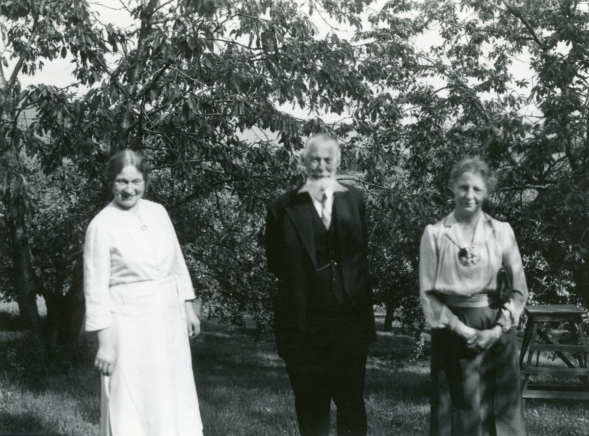 6 bilde frå Kornrådets besøk hjå Neri Valen 9. august 1939.  Neri Valen var ein av medlemmane i Kornrådet.