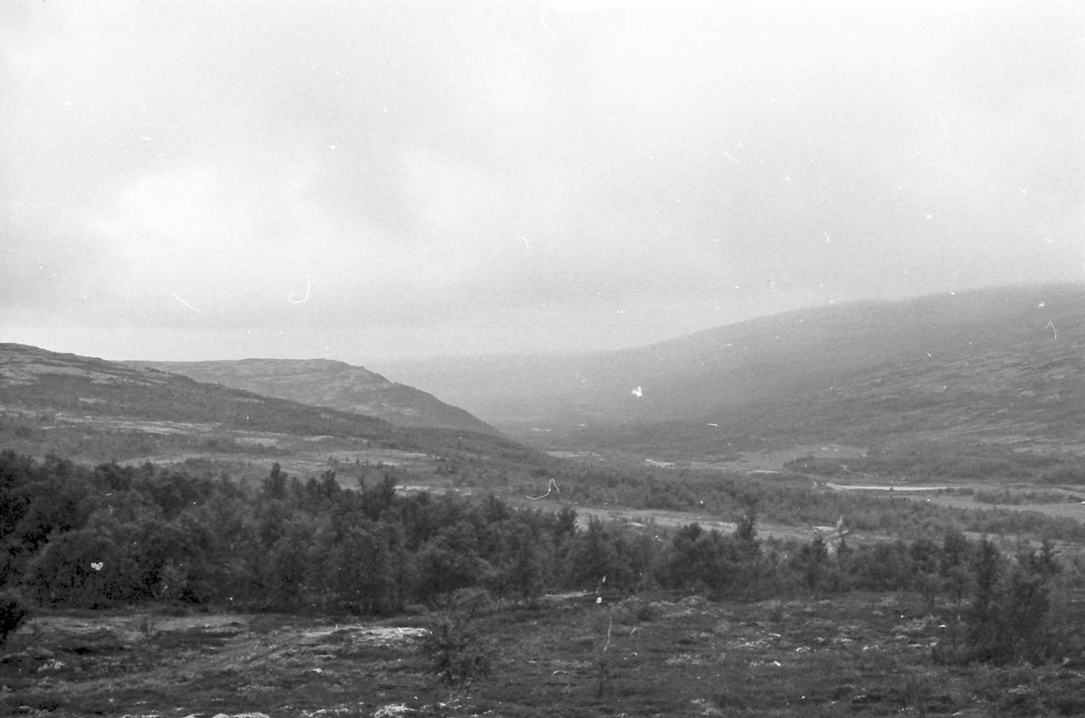 Naturbilder, Topografi