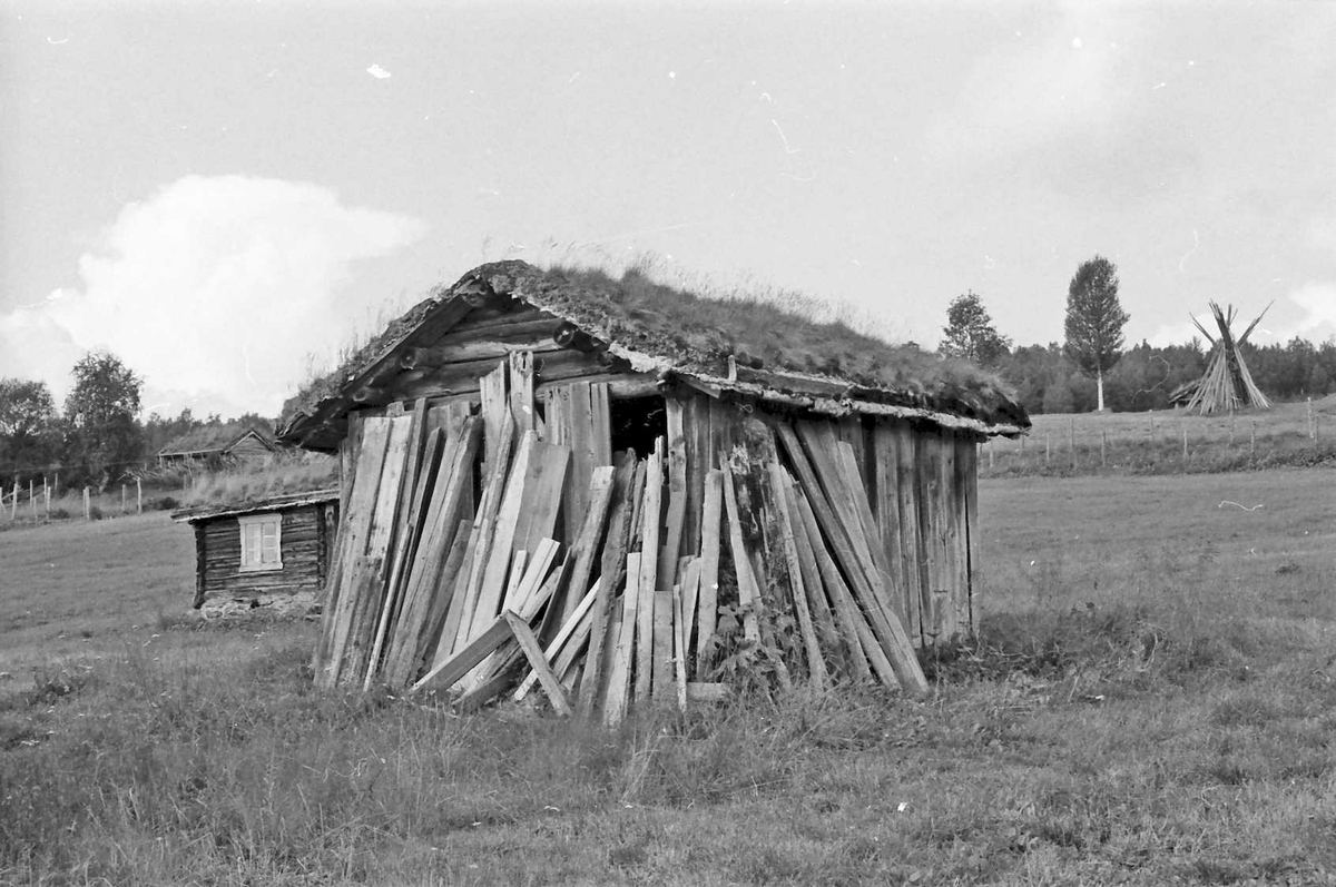 vedskål reg. nr. 23, sæterhus