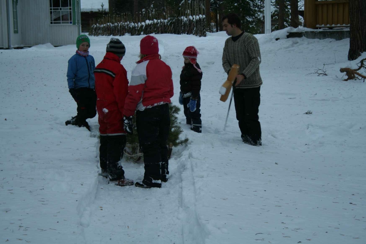 Jul på gamlemåten i Museumsparken 2008. Hente juletre. 