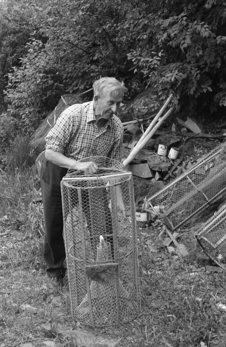 Yrkesfisker Paul Stensæter (1900-1982) ved Steinsfjorden på Ringerike i Buskerud med ei av teinene han brukte under abborfiske i gytetida om våren. Dette var ei sylindrisk teine, lagd med et skjelett av trespiler som var trukket med hønsenetting. Teina hadde en innovervendt, traktformet «kalv» i den ene enden og ei halvsirkelformet luke for uttak av fangsten i den andre. Denne teinetypen avløste en eldre type, der ytterveggene var flettet av trespiler.

Åsmund Eknæs fra Norsk Skogbruksmuseum intervjuet Paul Stensæter i 1973 og 1974. Det fiskeren fortalte om abborteinene sammenfattet Eknæs slik: 

«I gytetida er ruser eller "teiner" det mest effektiver redskap. Den eldste typen av slike teiner ble laget ved at det først ble slått en sirkel på bakken, lik diameteren på teina. Så stakk de pinner ned i bakken langs sirkelen og fikk hovedformen. Disse langsgående pinnene ble holdt sammen av en tverrfletting av tynne kvister. I toppen ble det satt igjen et rundt hull med lokk til uttaging av abboren. Kalven ved inngangen, som hindret fisken i å komme ut igjen, flettet de av lindebast.

En type som besto av langsgående pinner trukket med garnvev dannet overgangen til de teinene som brukes i dag. Disse er sylindriske og trukket med netting. Kalven er av garnvev.

Hvis vi skal sammenligne disse ulike typene av teiner for å se hvem av dem som fisket best, ser det ut til å være vanlig mening at den eldste, flettede var den beste. Dette fordi slike teiner av utseende minner mest om kvistvaser av det slaget som abboren gjerne legger rogn i.»