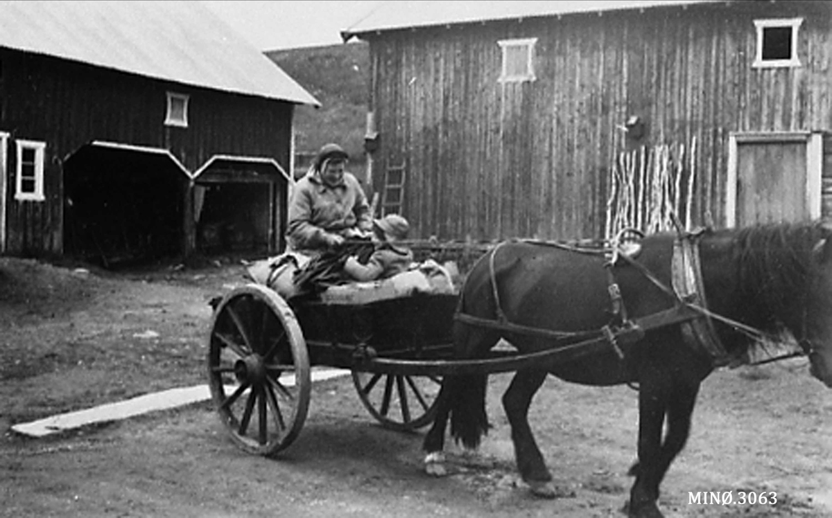Kvinne og barn i vogn trukket av hest foran gard. 