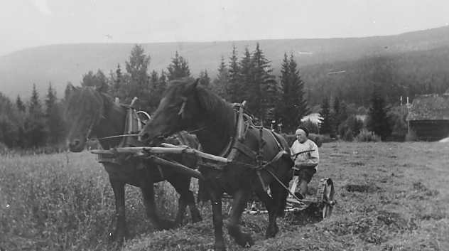 Hest, slåmaskin, personer, landskap