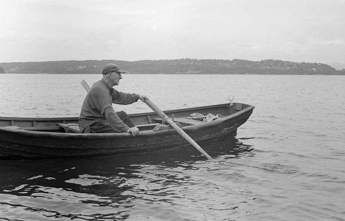 Yrkesfiskeren Paul Stensæter (1900-1982), fotografert i båten sin på Steinsfjorden, en sidearm til Tyrifjorden på Ringerike. Dette bildet ble tatt sommeren 1978, da Paul fisket etter gjedde (Esox lucius) med reiv (langrev), som var et lineredskap (se nedenfor).

I 1970-åra var etnologen Åsmund Eknæs fra Norsk Skogbruksmuseum flere ganger på besøk hos Paul Stensæter for å observere ham i aktivitet som fisker og intervjue ham om denne virksomheten. Eknæs oppsummerte det han fikk se og høre om gjeddefisket med reiv slik:

«Flere av de viktigste fiskeartene i Steinsfjorden har gytetid i mai-juni og fisket drives mest effektivt i denne tida. De tre aktuelle arter er gjedde, brasme og abbor. I tillegg kommer et ikke ubetydelig krepsefiske seinere på sommeren.

Pauls viktigste redskap for fangst av gjedde er lina eller «reiven». Gjeddereiven er opptil 250 favner lang. Det er ti favner mellom hver krok, så det blir ikke mer enn 52 kroker i alt. De store krokene, vanligvis størrelse 7/0 sitter i en fortom, «tams» på ca. 50 cm. Da Paul fisket for fullt og røktet reiven ofte brukte han bomullsfortom. Men i de seinere åra med sjeldnere tilsyn har han gått over til messingfortom. Dette er for å hindre gjedda i å gnage av snøret.

Gjeddereiven er flytereiv som står ca. 2 favner under overflata. Til agn brukes det små-abbor. Før ble det brukt levende abbor, men da forbudet mot levende agn kom, gikk han over til død fisk. Den må festes til kroken slik at den står horisontalt i vannet.»