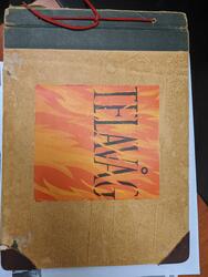 Album, motiv frå Telavåg, Storetveit skole, Framnes folkehøgskule i Hardanger