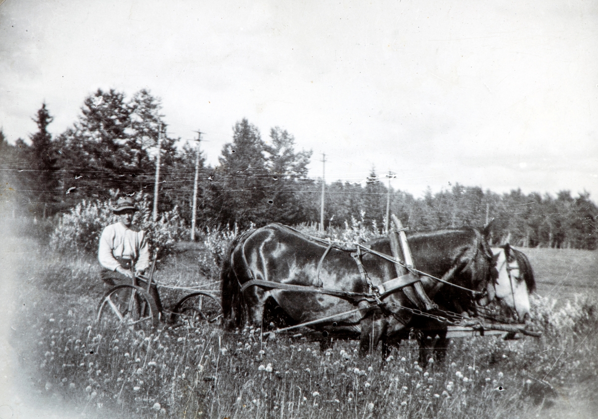Ole Flagstad på jordet på Flagstad gård, Løten. Slåttonn med to hester. 
Året etter fikk Ole Flagstad beskjed om å levere en av hestene til militæret. Den dagen han leverte hesten i Elverum, 11.april 1940, ble Elverum bombet. Bombene slo ned rundt han da han var på vei hjem mot Løten, og han søkte ly rundt trea i skogen. Det gikk bra med han, men hesten så han ikke noe mer.