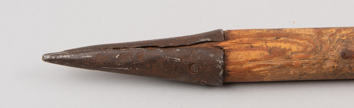 Halvpike med rombisk spiss benyttet av fotsoldater på 1600-1700-tallet.