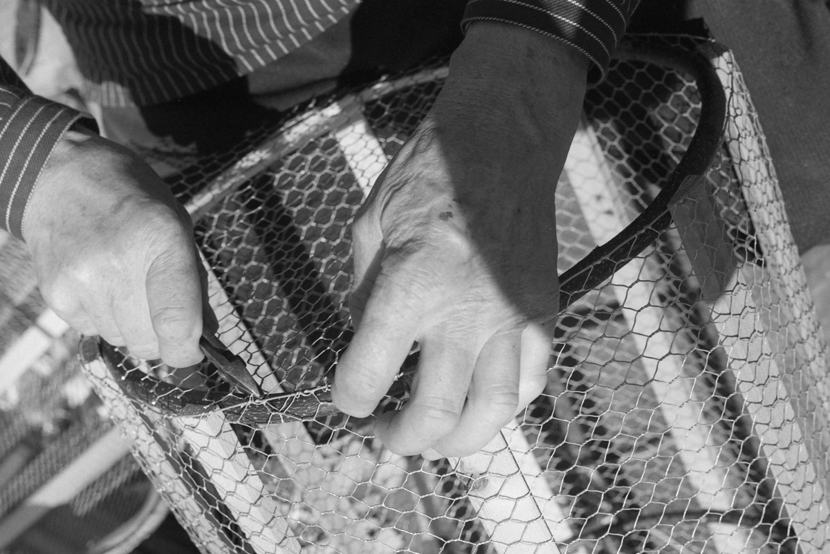 Nærbilde av hendene til yrkesfiskeren Paul Stensæter (1900-1982), som lagde abborteiner til fisket han drev i Steinsfjorden, en sidearm til Tyrifjorden på Ringerike i Buskerud. Her er det snakk om sylindriske teiner, bygd rundt ringer av kvister fra lauvtrær og med trelekter som avstiving i lengderetningen. Dette skjelettet var trukket med hønsenetting, som ble bundet fast med ståltråd. Nettingteinene hadde et rundt nettinglokk i den ene enden og en kalv av garnvev i den andre.

Åsmund Eknæs fra Norsk Skogbruksmuseum hadde mye kontakt med Paul Stensæter. I 1975 oppsummerte han intervjuinformasjon og observasjoner han hadde gjort i en artikkel der han skisserte årssyklusen i Stensæters fiskerivirksomhet. Om abborteinene fiskeren brukte skrev Eknæs:

«I gytetida er ruser eller "teiner" det mest effektive redskap. Den eldste typen av slike teiner ble laget ved at det først ble slått en sirkel på bakken, lik diameteren på teina. Så stakk de pinner nede i bakken langs sirkelen og fikk hovedformen. Disse langsgående pinnene ble holdt sammen av en tverrfletting av tynne kvister. I toppen ble det satt igjen et rundt hull med lokk til uttaging av abboren. Kalven ved inngangen, som hindret fisken i å komme ut igjen, flettet de i lindebast.

En type besto av langsgående pinner trukket med garnvev dannet overgangen til de teinene som brukes i dag. Disse er sylindriske og trukket med netting. Kalven er av garnvev.

Hvis vi skal sammenligne disse ulike typene av teiner for å se hvem av dem som fisket best, ser det ut til å være vanlig mening at utseendet minner mest om kvistvaser av det slaget som abboren gjerne legger rogn i.»