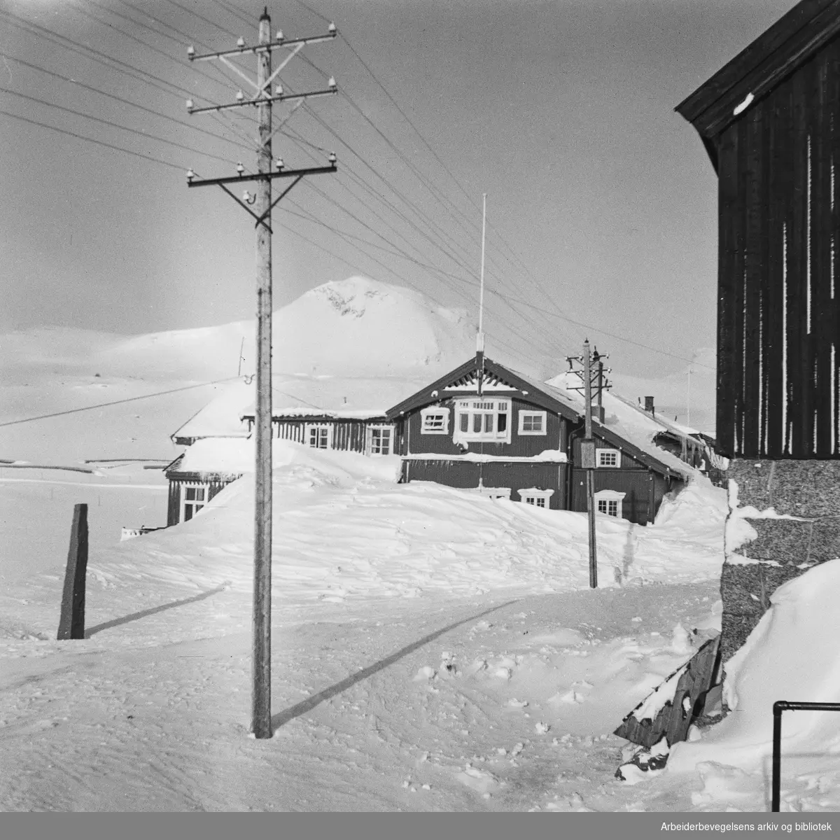 Snørydding på Bergensbanen. Mars 1949.