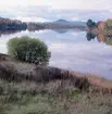 Landskap i höstfärger med vy över vatten, berg och skog.