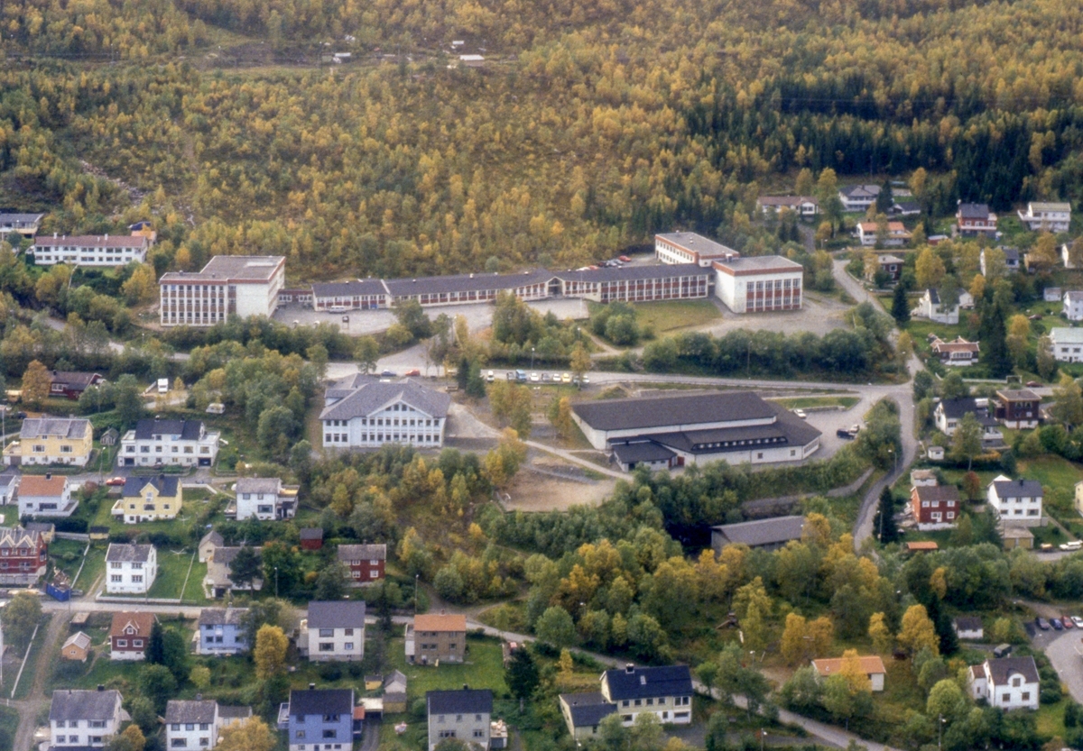 Åsveien, Moveien, Bergveien, Skogveien. Ankenes skolene, Ankeneshallen