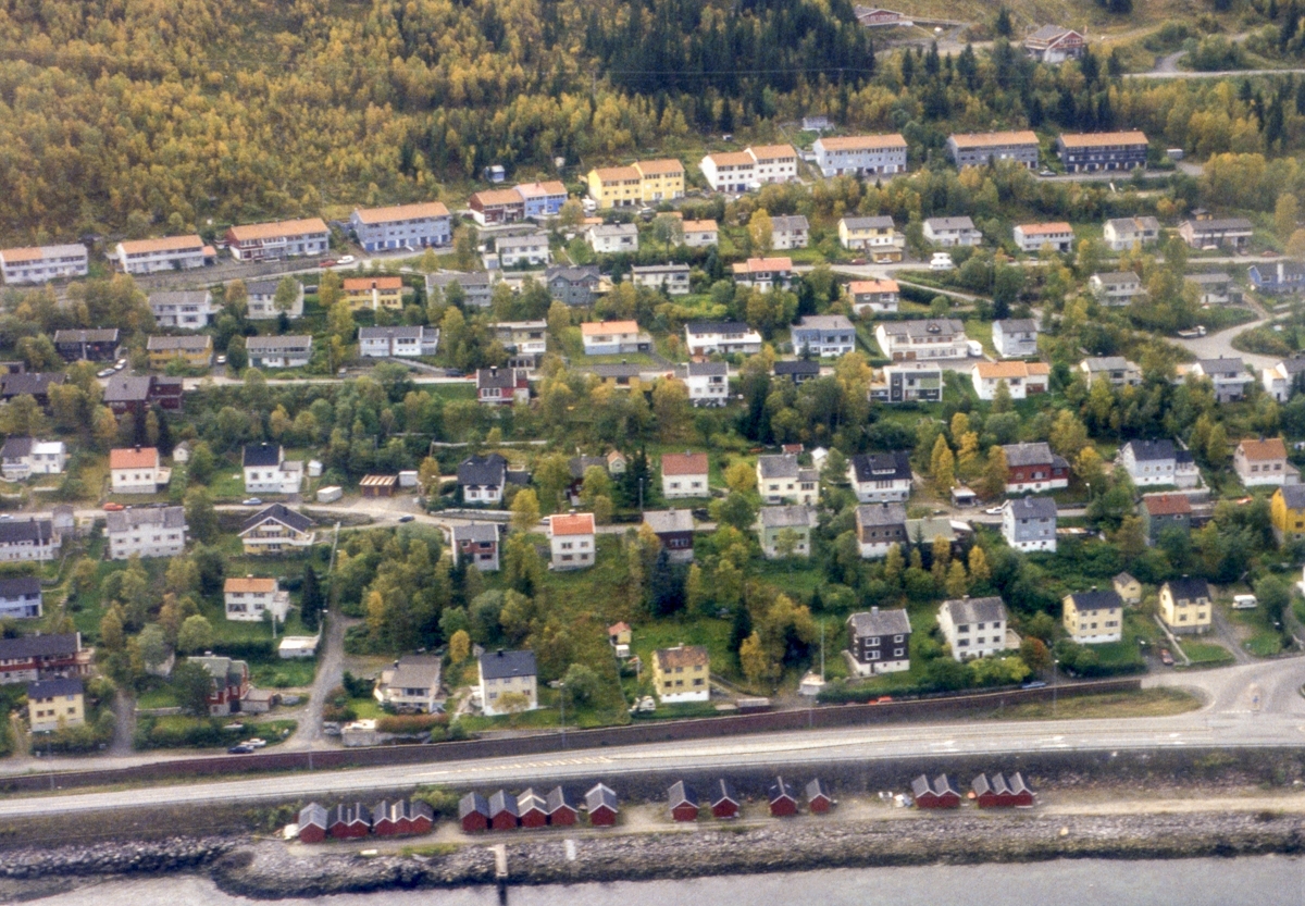 Hardhausveien, Åsveien, Skogveien, Bergveien og Ankenesveien