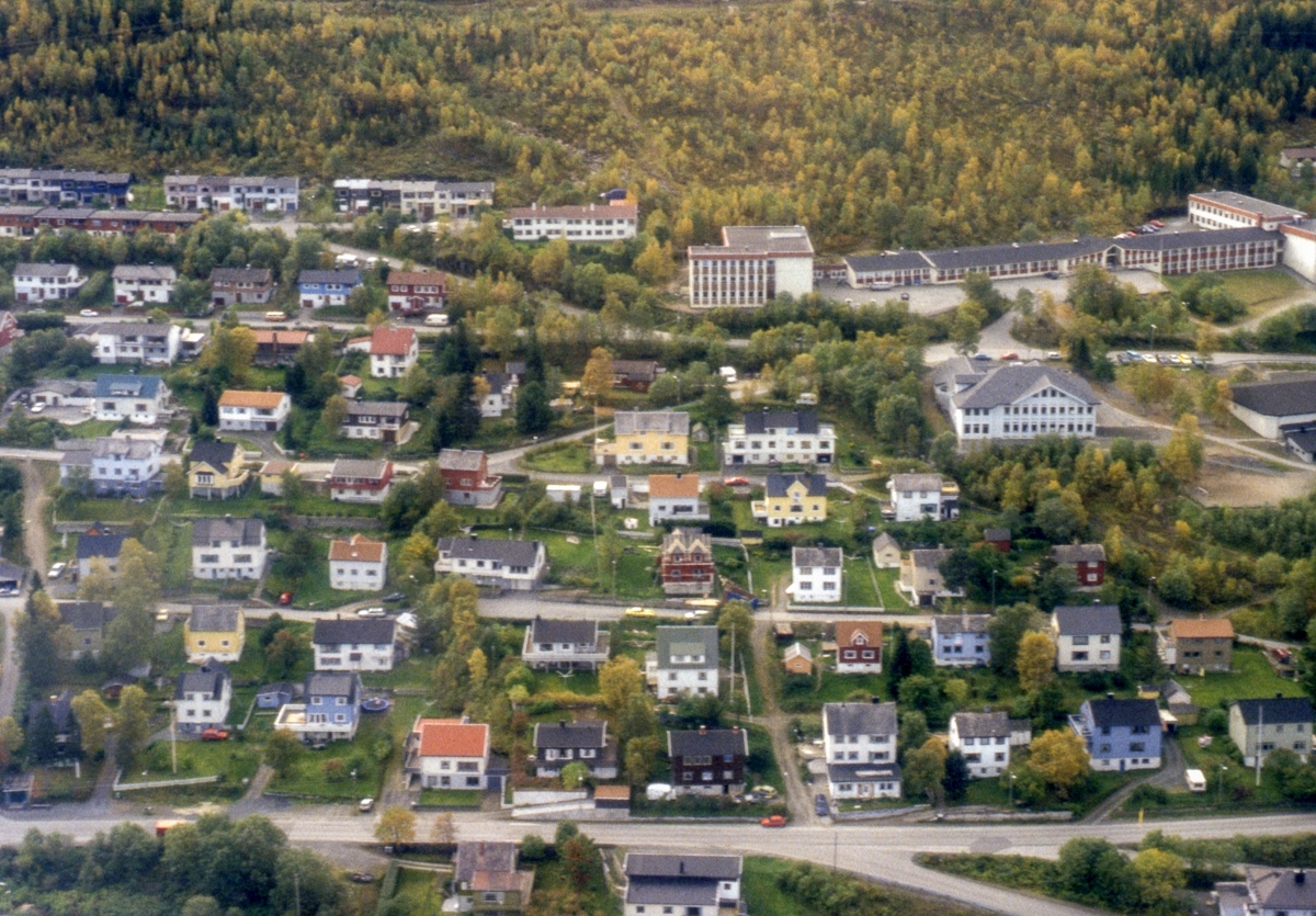 Åsveien, Skogveien, Bergveien, Ankenesveien