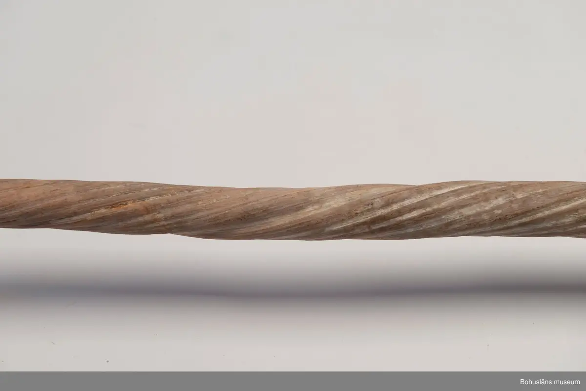 Narvalstand. Tillhörande kraniedel saknas?

Ur Knut Adrian Anderssons katalog Kranier och andra ben VII:4:22
Narvalen
Mónodon monóceros Linné 1758
Främre delen af halva kraniet med stöt-tanden. Fossil vid Koljefjord i Bohuslän.- Inköpt för 25 kronor. 1884?

Ur handskrivna katalogen 1957-1958:
Inköpt för 25 kronor
Narval: Kranium m. stöttand

Lappkatalog: 

Enligt uppgifter i de äldsta handskrivna katalogerna är kraniet och dess tand ett subfossilt fynd. från Uddevallatrakten. Katalogen upptar f. ö. ett flertal subfossila fynd.

På kort Kab 27 UM3283 står skrivet: Halva kraniet med stöttand av narval. Fossil vid Koljefjord, Bohuslän.

Kraniet med dess tand var permanent utställd under många år i Uddevalla museum på Kungsgatan, vilket framgår av tidningsartiklar och av foton. Föremålen var arrangerade i en trapphall och hängde ovanför dörröppningen in till utställningen om xxx.
Handskrivna katalogerna förvaras i arkivet.

Januari 2006: Troligen finns bara narvalens långa tand kvar. Efterforskning inledd om kraniet kan finnas på annan plats.
Tandens längd är 168.5 cm.