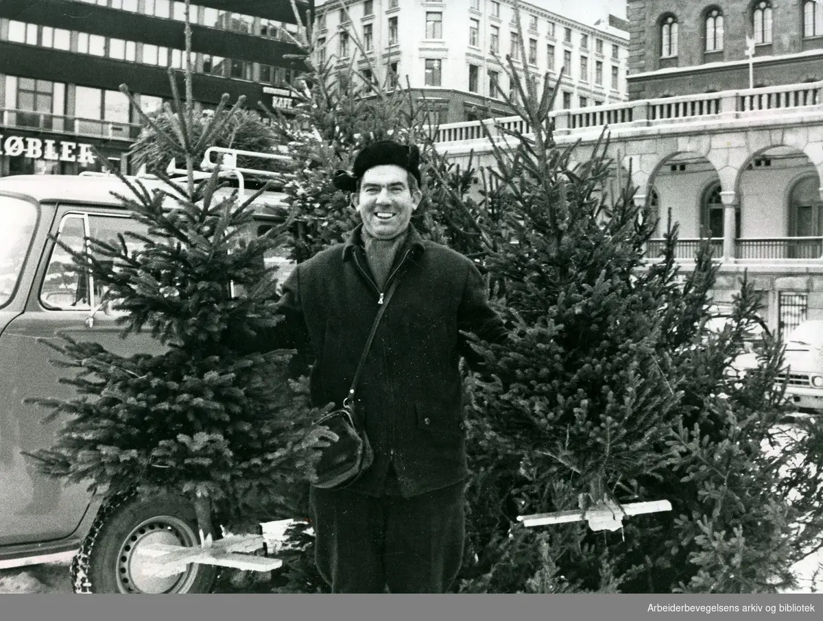 Juletreselger Juul Erik Sundby på Youngstorget. 23 november 1971.