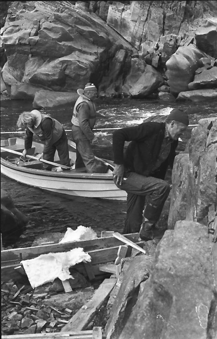 Fisketrapp i Barkaldfossen. 