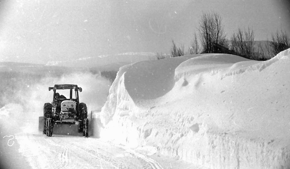 Mye snø i Dalsbygda. 