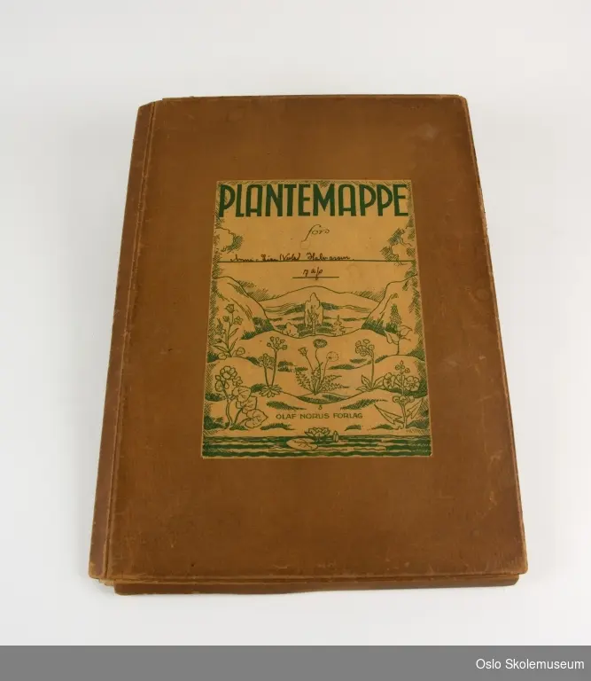 Brun/beige mappe i papp som kan lukkes ved å folde sammen klaffene på mappens bakside. På mappens fremside er det pålimt et ark med et landskapsmotiv med ulike blomster i grønt, samt et felt der mappens eier kan skrive navnet sitt. Inne i mappen er det en bunke med 6 omslagsark merket med plantefamilier. Omslagsarkene inneholder ark der det er teipet fast pressede planter. Under plantene er det håndskrevet fakta om planten som feks. navn og funnsted.
