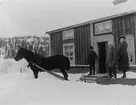 Häst framför ett bostadshus