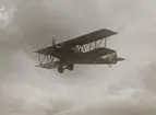 Flygplan Fiat BR 1 (B 1) i luften, 1925. Vy nedifrån.

Text vid foto: 