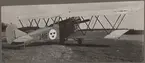 Flygplan Fiat BR 1, B 2 nummer 3406 står på flygfältet på Malmen, cirka 1927-1928. Vy snett bakifrån.