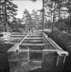 JANS, NACKA