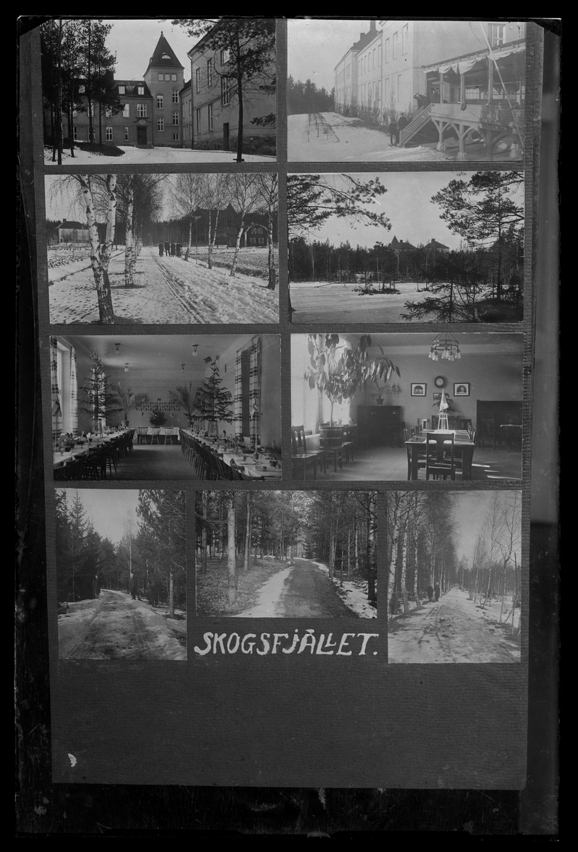 Bildcollage av nio småbilder. Skogsfjället, Västerås.