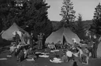 Ett stort antal soldater samlade för vila framför militärtält, 1940.

Bildtext vid foto: 