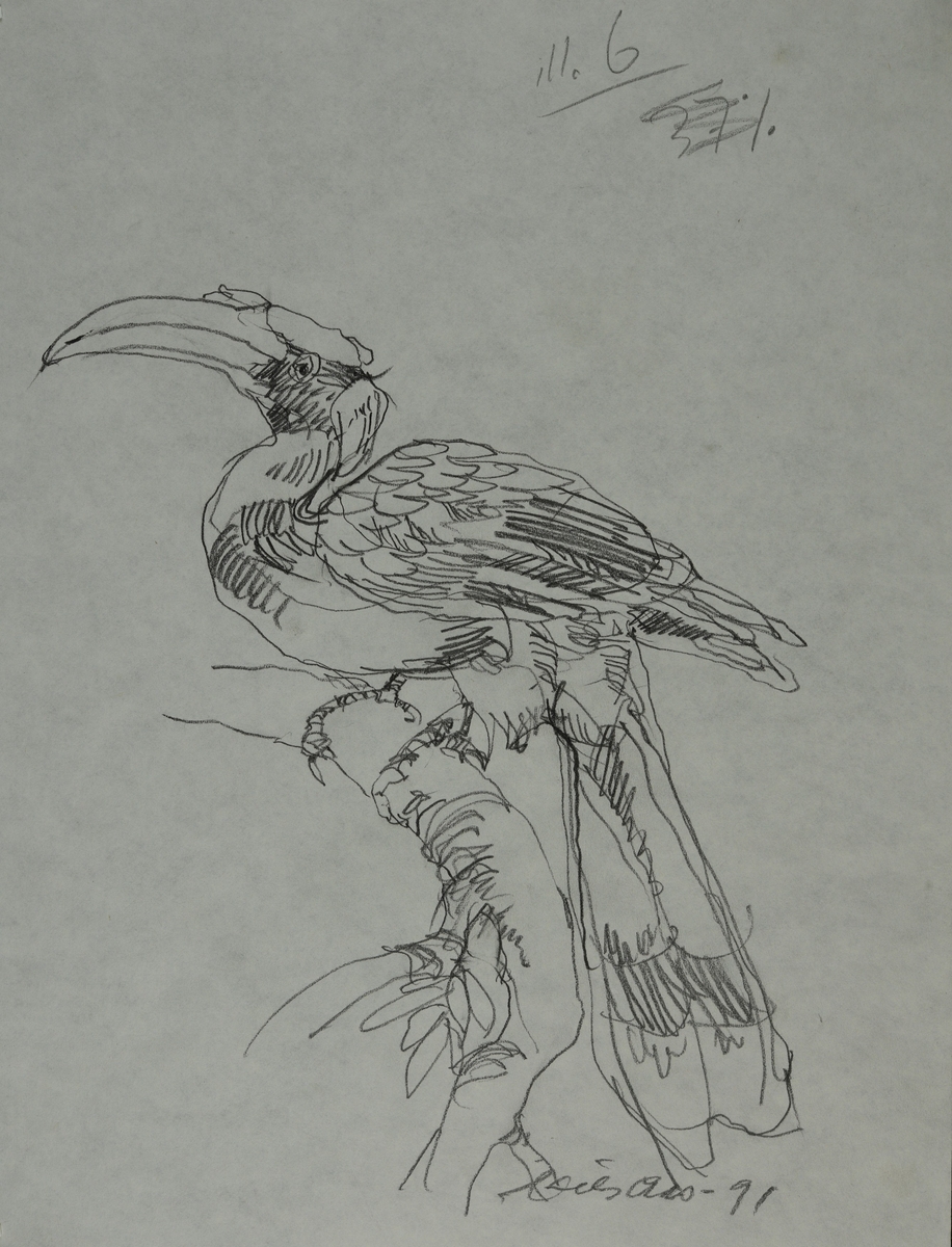 Fugl sitter på gren