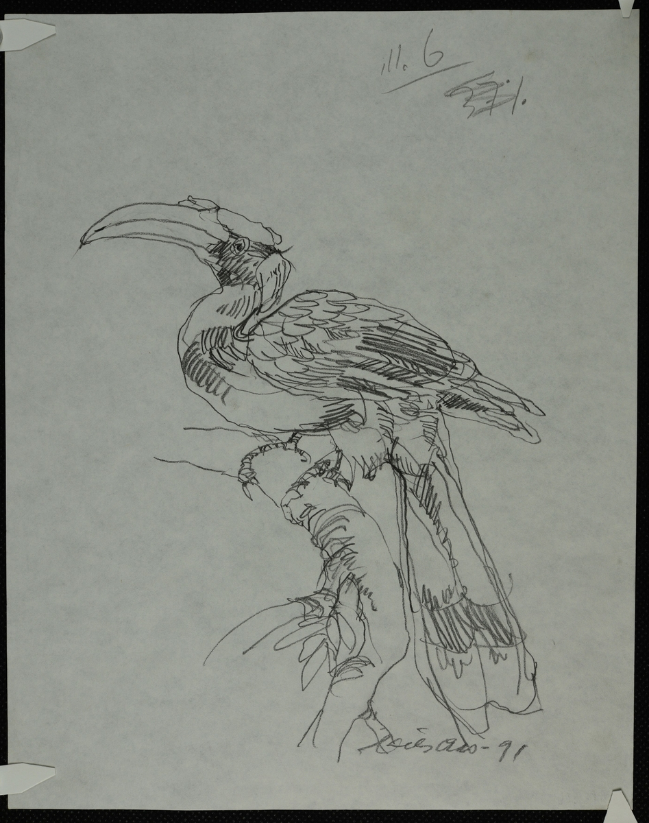 Fugl sitter på gren