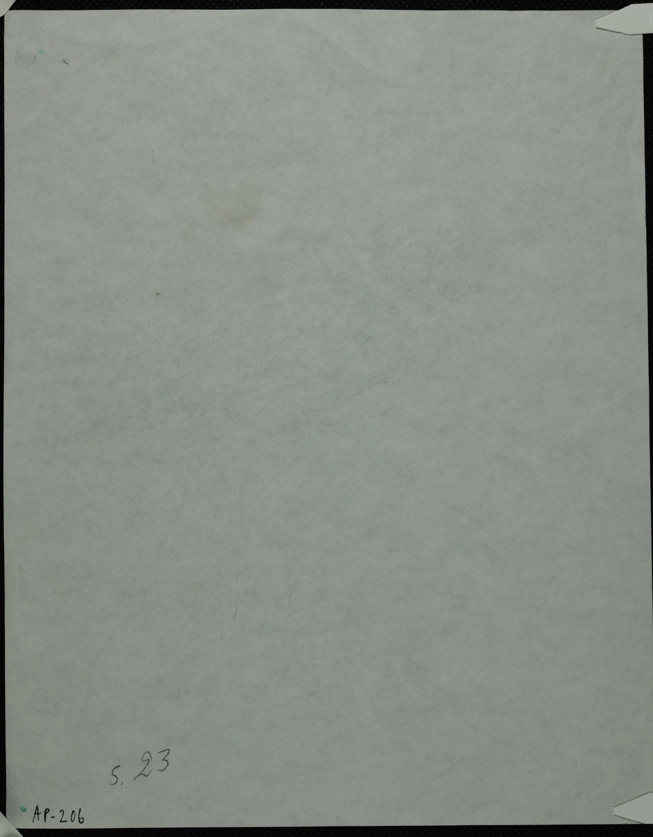 Fugl sitter på gren