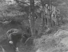 Flygsoldater i arbete med att gräva skyddsrum under Flygvapenövningen 1942.

Bildtext vid foto: 