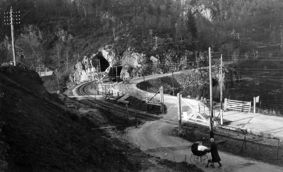 Setesdalsbanen. Ved Aukland holdeplass.