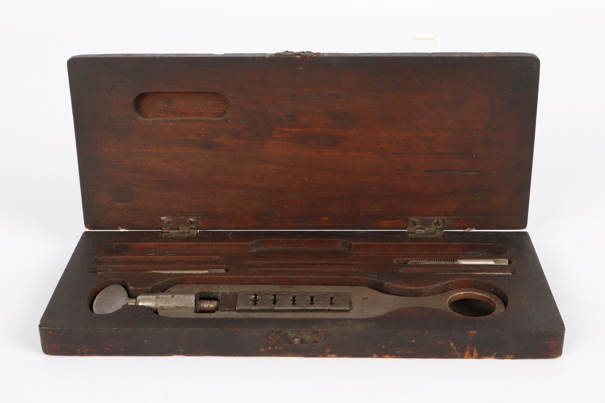 Gjengesett i treetui