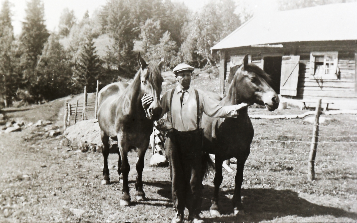 Seterbua med eieren Anton Rogstadåsen (1885-1959). Hestene er Åkerbrun og Åkersvarten.