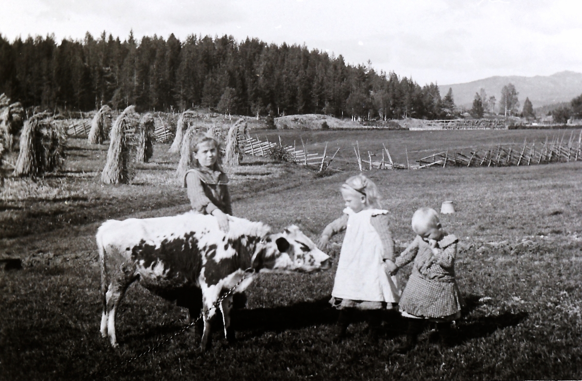 Jordet på Jonsrud. Døtterene til eieren Kristian Saga.
Fra v: Amborg f.1897, Signe f.1900 gift Green og Gudrun Saga f.1902.