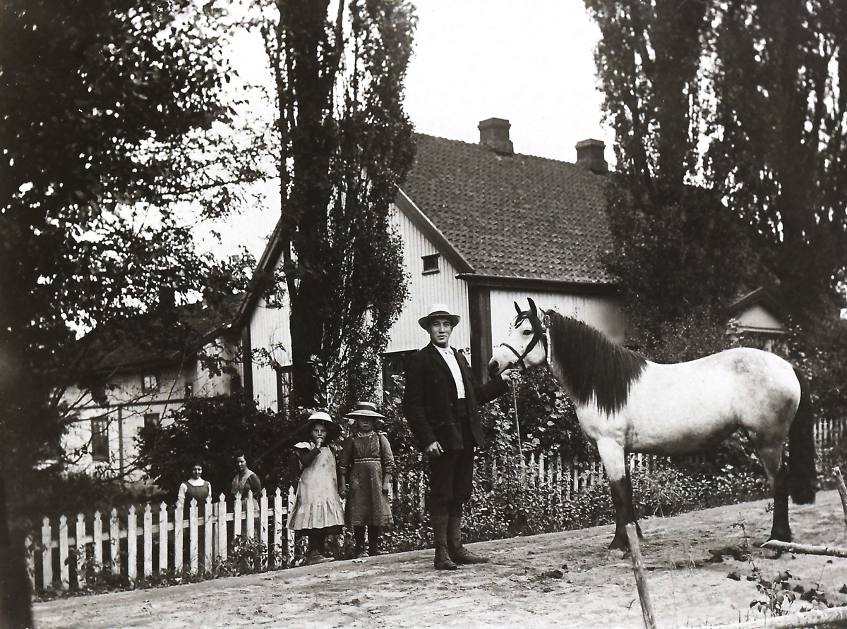 Peder Haug (1866-1928) - daværende forpakter på Berg Prestegård med hesten Borken.