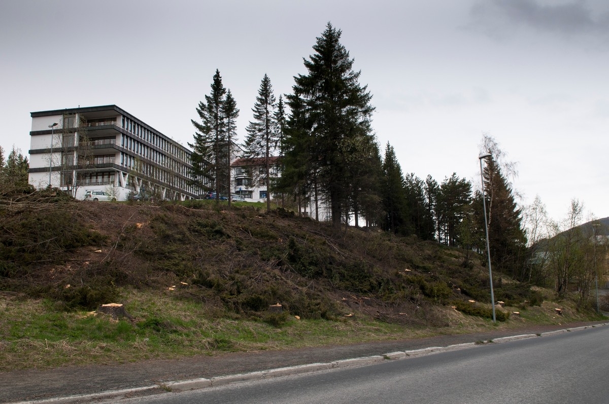 Narvik sykehus, og stadionbakken i forgrunnen. Den gamle granskogen nedenfor sykehushaugen ble kappet i mai 2011. Da var trærne nesten 100 år gamle. Foto 19 mai 2011.