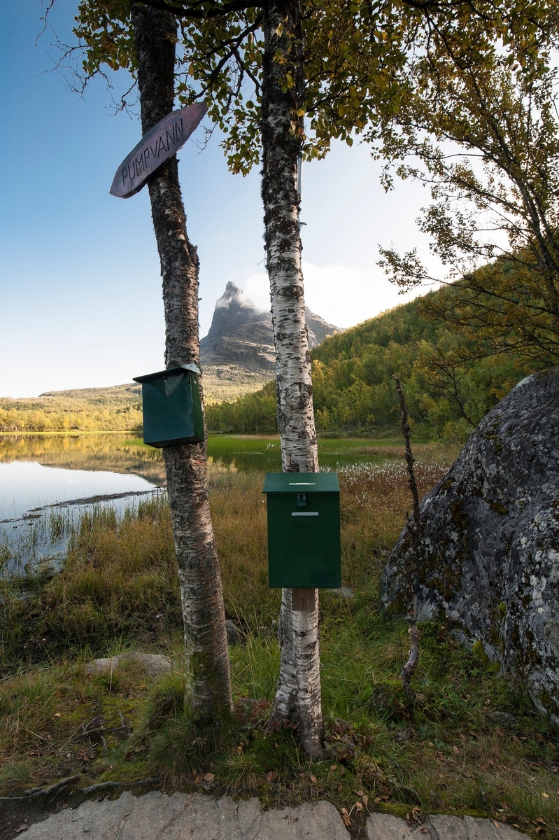 Skilt på to trær, postkasser for besøksbøker og Tøttatoppen bak. Bildereportasje fra Tøttadalen, Førstevann, Pumpvann og FUNN-hytta. Artikkel i Fremover lørdag 19. sept 2015.Foto 10. sept 2015