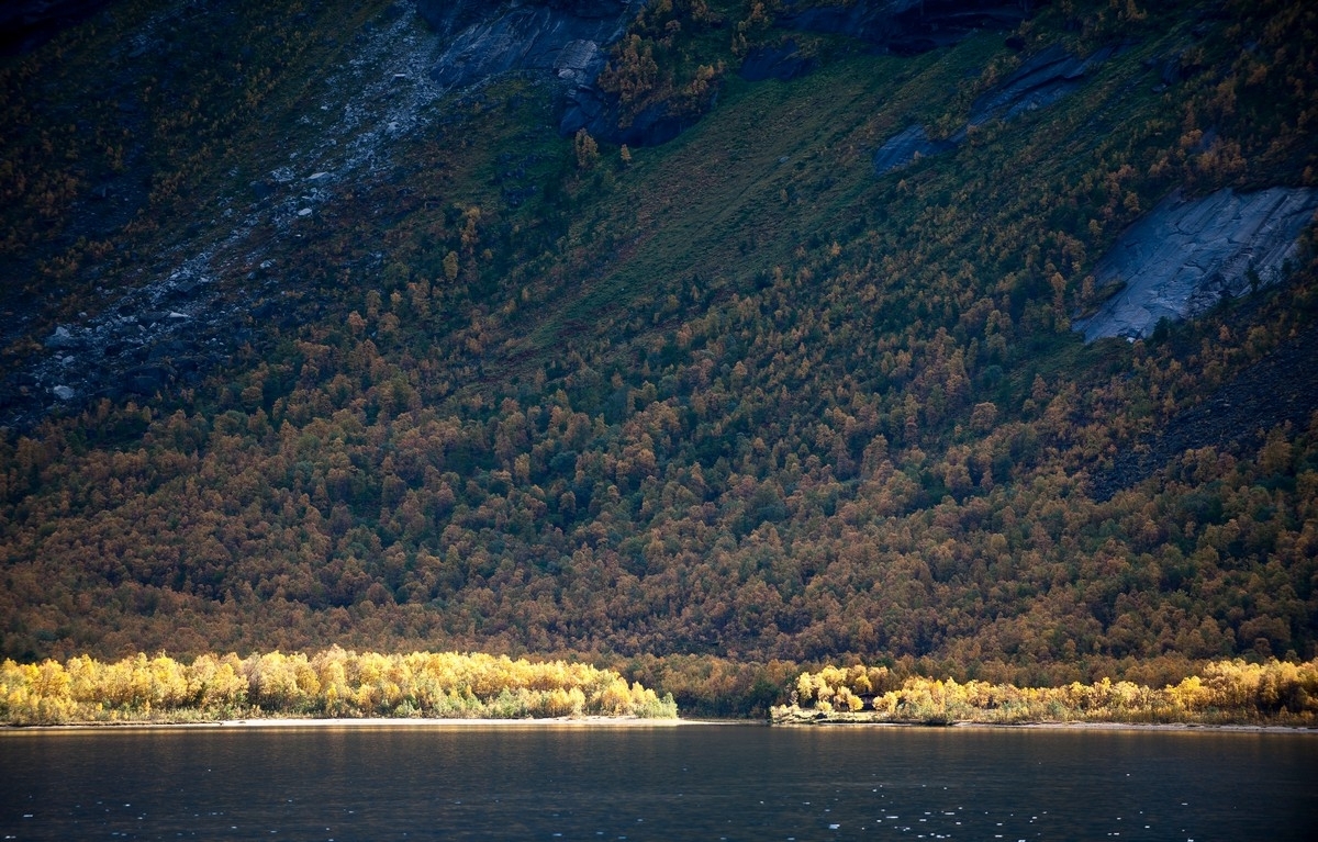 Foto fra Beisfjord . Foto 24. sept 2015