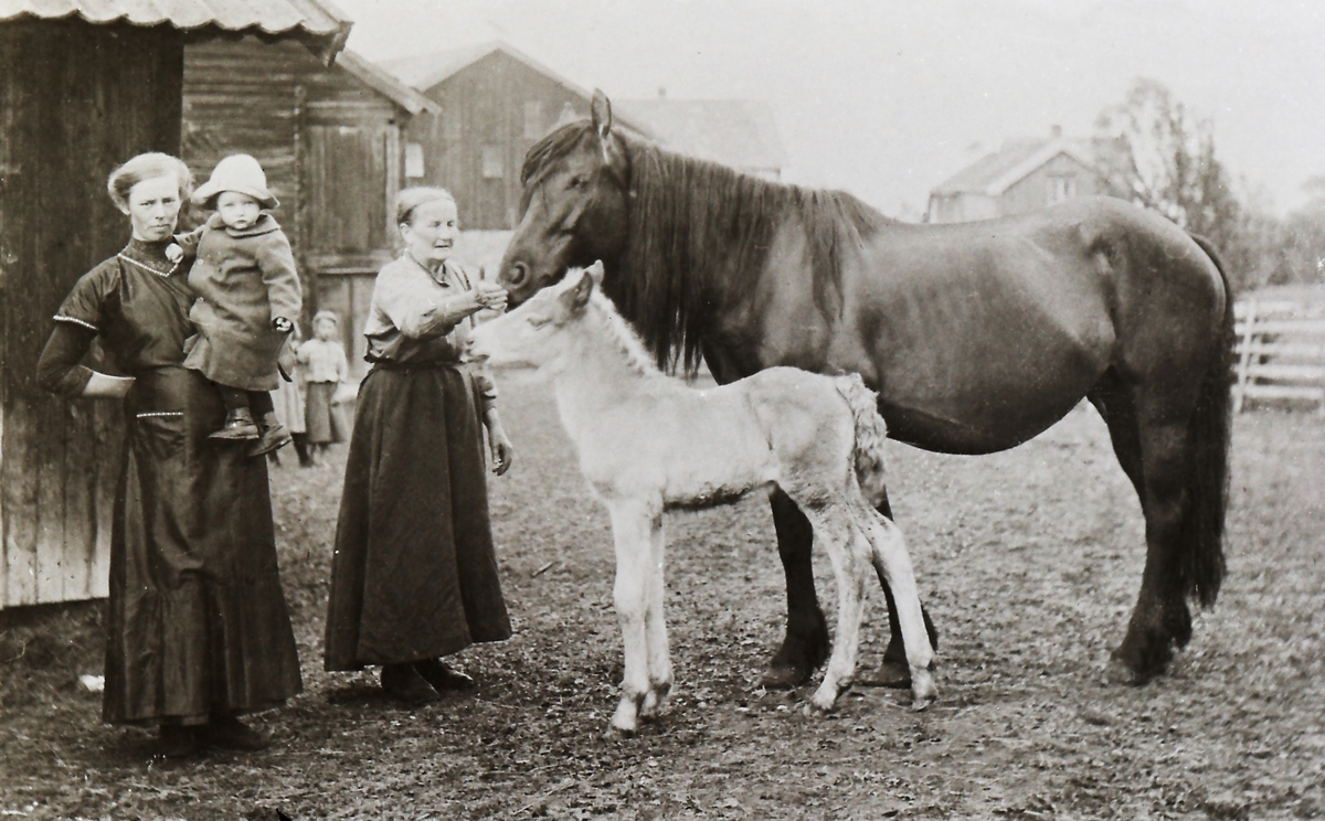 Gården er nå lagt  inn under Nedre Strenge, husene her er revet. Nedre Strenge i bakgrunnen.
Fra v: Anne Serine Næss (1888-1976) med datteren Ruth Kristiane (1913-1996) på armen, Inger Karine (Rine) Næss (1843-1923) - jordmor i Sandsvær, gamle Svarta og vesle Blakken. Borghild Næss Landsverk f.1907 i bakgrunnen.