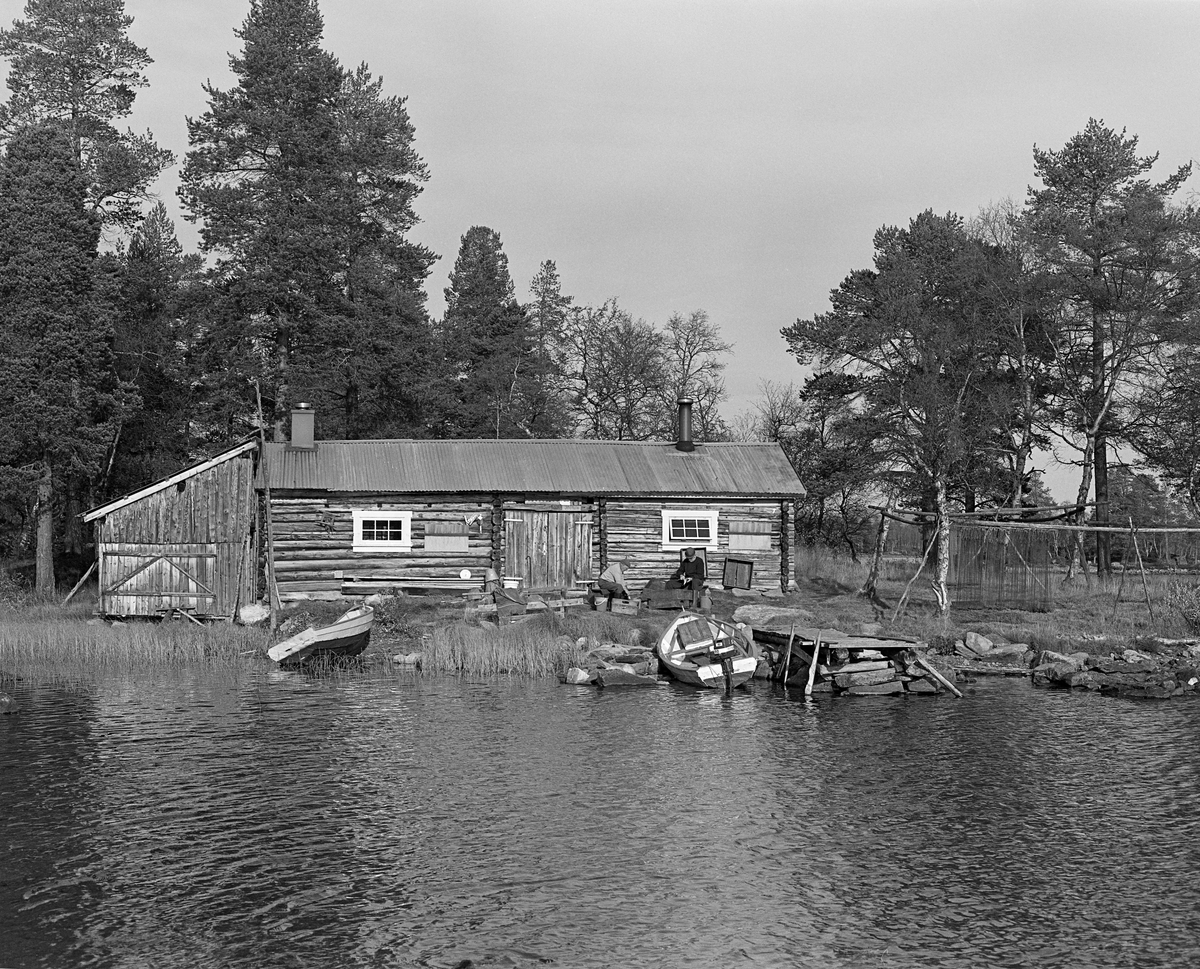 Jotbua, ei fiskebu sør for Kløvstenodden i Tufsingdalen, på innsjøen Femunds vestside. Denne lokaliteten ligger i Os kummune i Hedmark. Bua lå like ved sjøen, med den vestre langsida parallelt med strandlinja. Jotbua var en rektangulær laftekonstruksjon med bølgeblikktekket saltak. Den hadde tre rom - et boligrom på hver side av en midtgang. Mot den søndre gavlveggen var det reist et tilbygg i bordkledd bindingsverk. Tilbygget hadde saltak og en bred inngangsport som kan tyde på at denne bygningsdelen må ha tjent som båthus. Ved stranda framfor Jotbua var det ei lita brygge, der det lå en kvitmalt, klinkbygd trebåt med påhengsmotor. Litt lengre til venstre var en annen, tilsvarende båt, men uten påhengsmotor, trukket opp på stranda. Framfor buveggen skimter vi fiskerne Jo Bakken og Joseph Bakken, som renset sik de nettopp hadde fanget i garn på grunner litt nord for Jotbua. Garna de hadde brukt hang til tørk på et stativ til høyre i bildet.