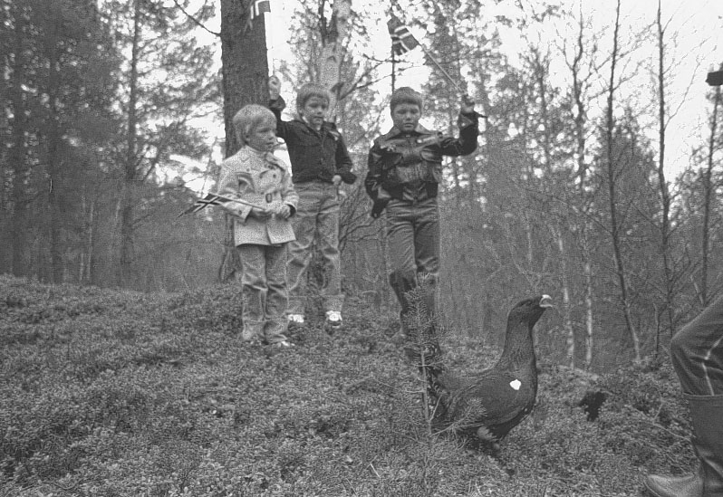 17. mai bilder, Rar tiur, Barn med flagg