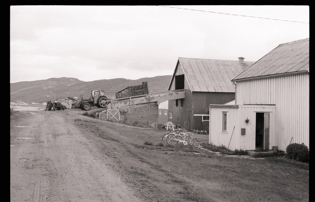 Hus, fjøs og traktorer på gården til Esten Hokland på Kveøya.